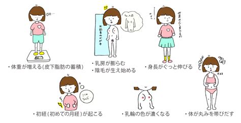 女の子の陰毛|思春期のからだの変化